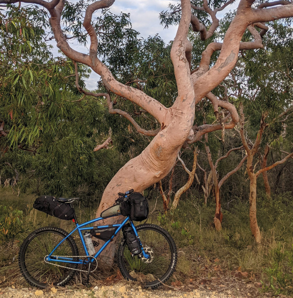 Leafcycles Klunker Bike lehnt an einem Baum irgendwo in Australien